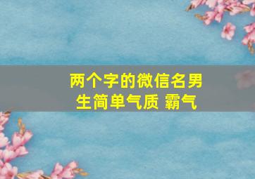 两个字的微信名男生简单气质 霸气